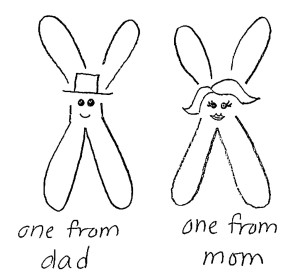 chromosomes human pairs parent each whopping total because gene beatricebiologist