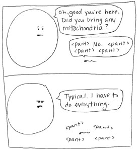 I Love You Mitochondria Beatrice the Biologist