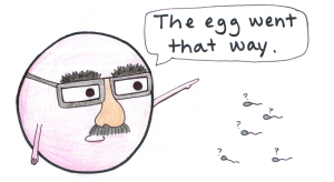 the egg went that way