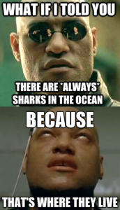 what if i told you there are always sharks in the ocean because that's where they live