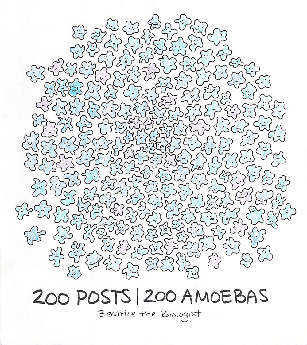 200amoebas