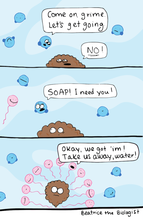 Browse Beatrice the Biologist