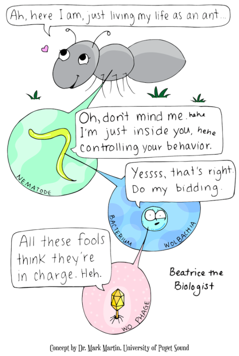 Browse Beatrice the Biologist