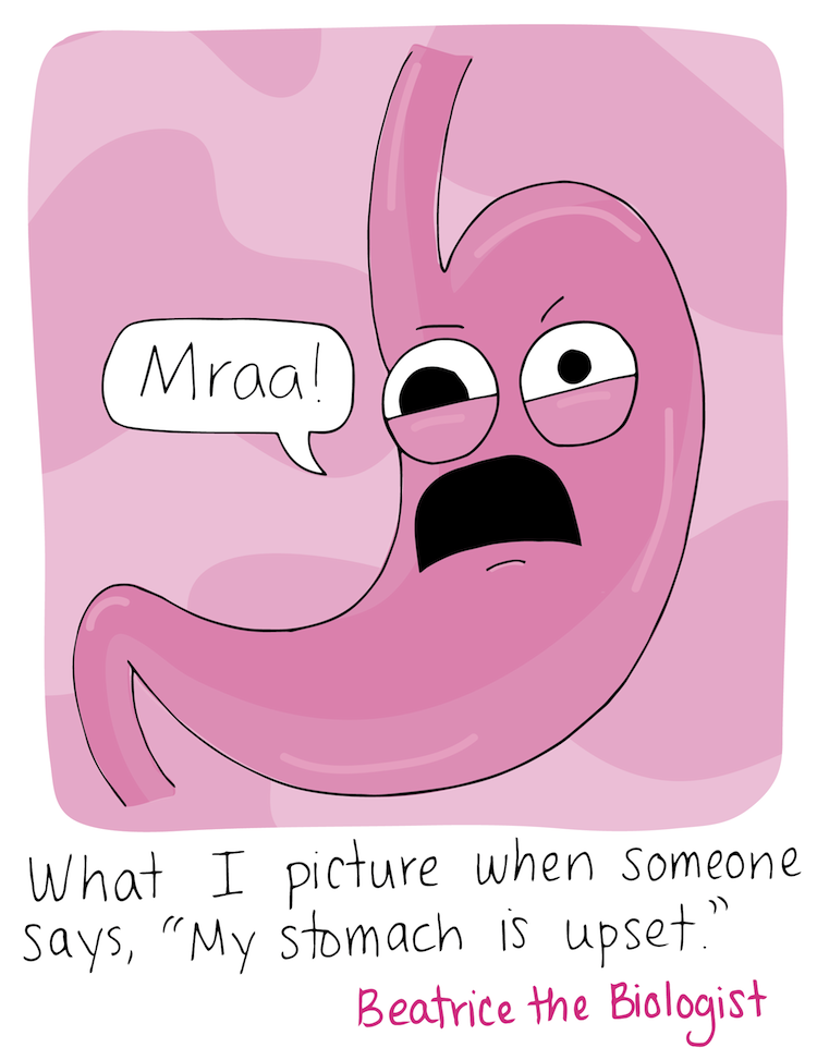 Upset Stomach Beatrice the Biologist