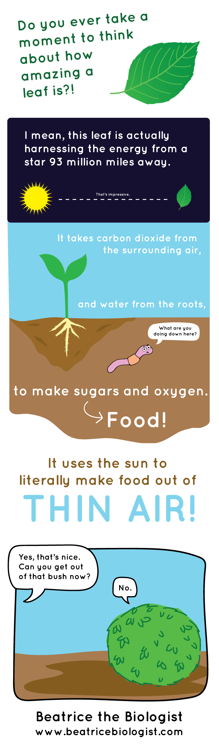 Plant Biology Archives Beatrice the Biologist