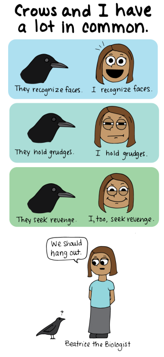 crows and i have a lot in common. they recognize faces. i recognize faces. they hold grudges. i hold grudges. they seek revenge. i seek revenge. we should hang out.