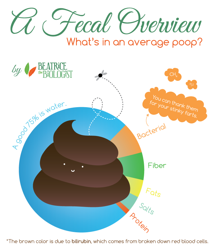 fecal overview what is in an average poop