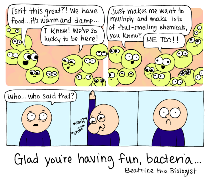 comic of bacteria causing body odor