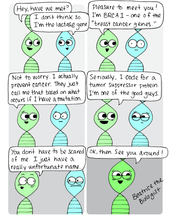 Browse Beatrice the Biologist