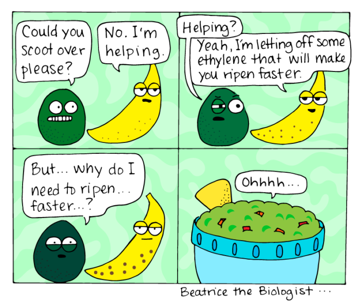 Browse Beatrice the Biologist