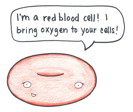 Types of Cells - Beatrice the Biologist