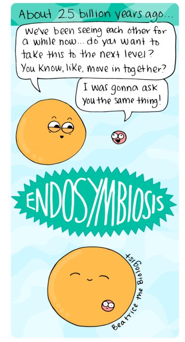 Browse - Beatrice the Biologist